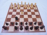 International alexander alekhine chess set